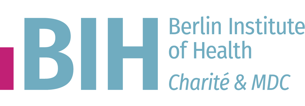 BIH logo